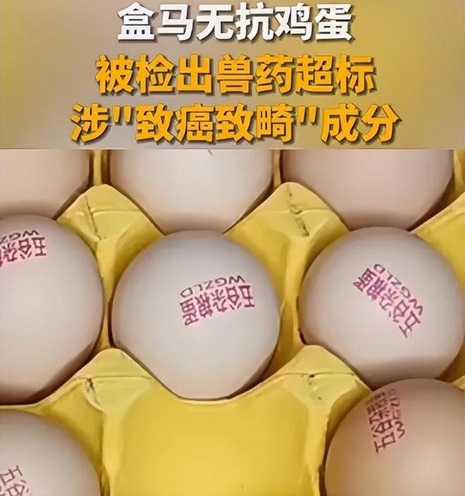 超标！长期食用致癌央媒点名通告盒马新回应pg电子模拟器免费试玩盒马鲜生鸡蛋兽药(图5)